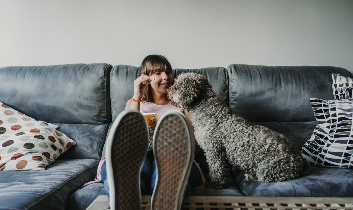 Exploring the Unmatched Comfort and Care of Home Dog Boarding